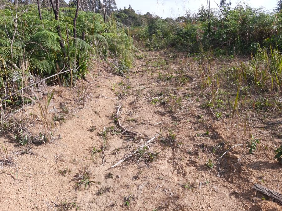 Área em Bocaiuva - Área Rural em Bocaiúva do Sul