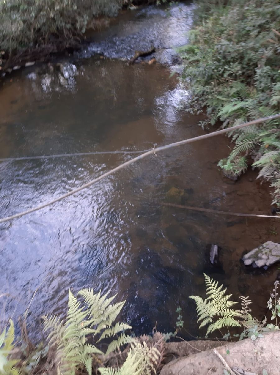 Área em Bocaiuva - Área Rural em Bocaiúva do Sul