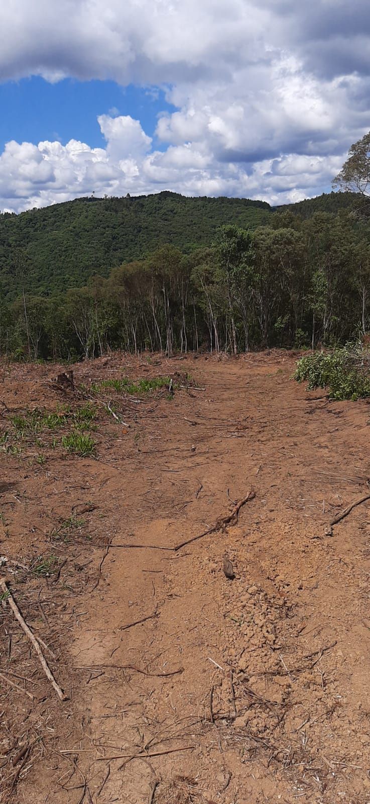 Chácara em Bocaiuva - Chacara Barra das Cruzes