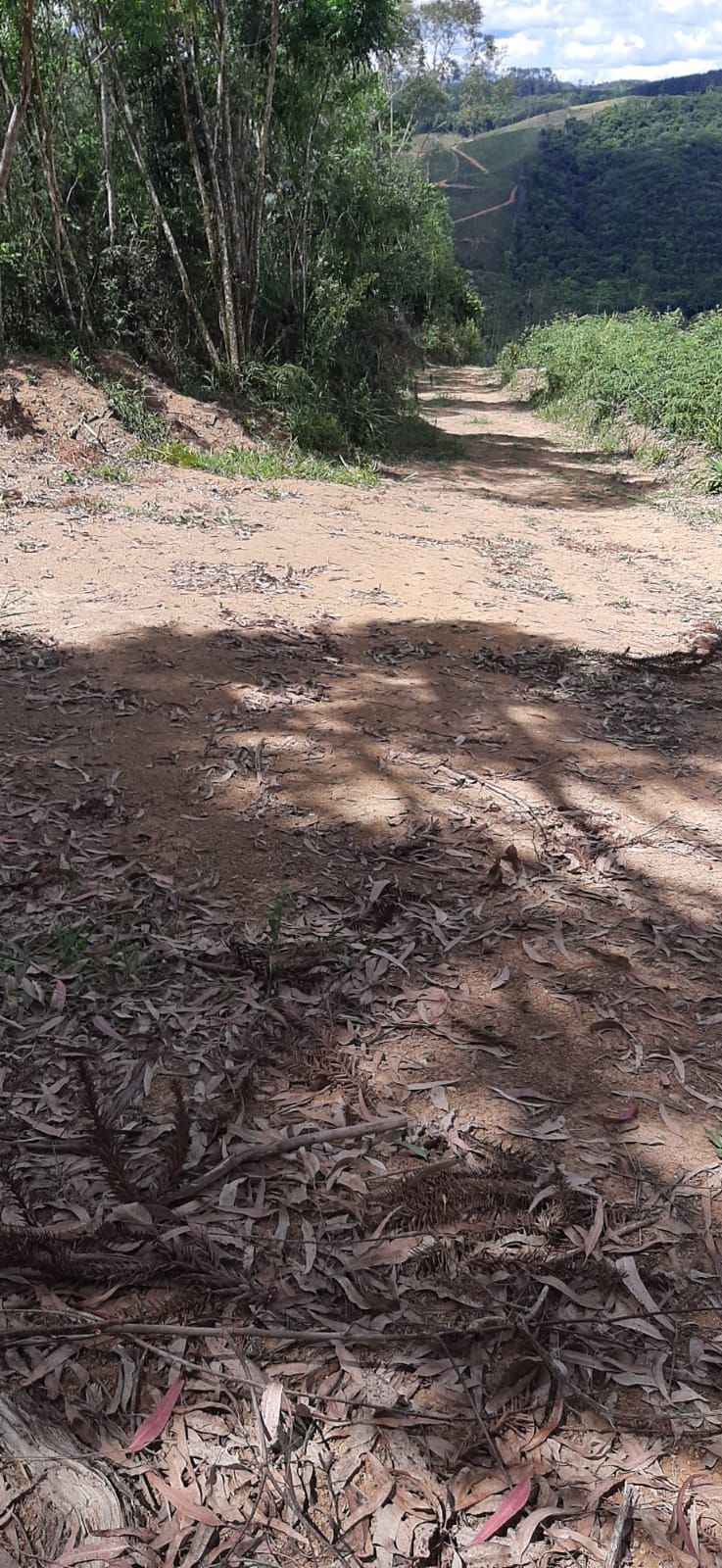 Chácara em Bocaiuva - Chacara Barra das Cruzes