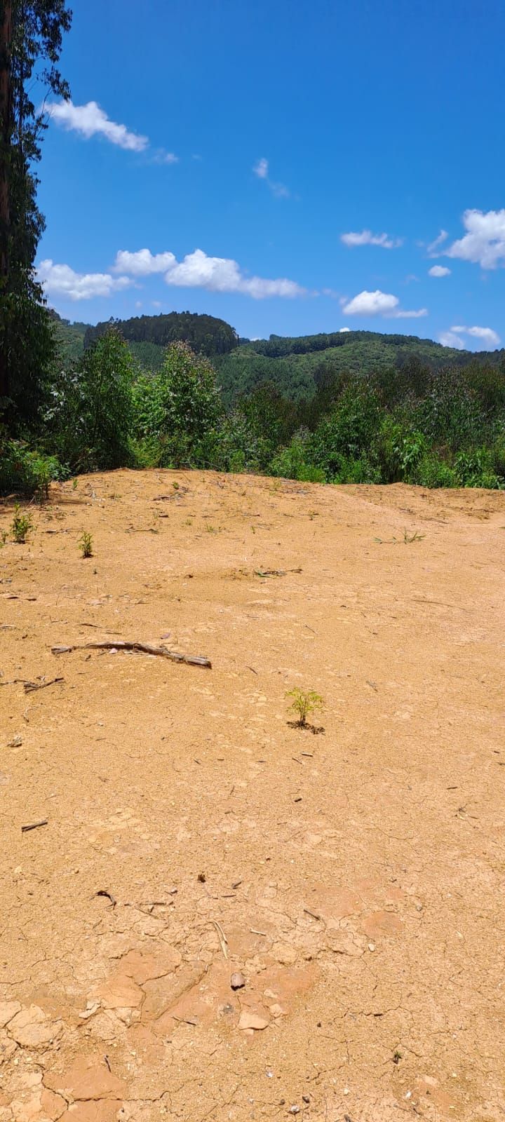 Chácara em Bocaiuva - Chacara Sao Jose 
